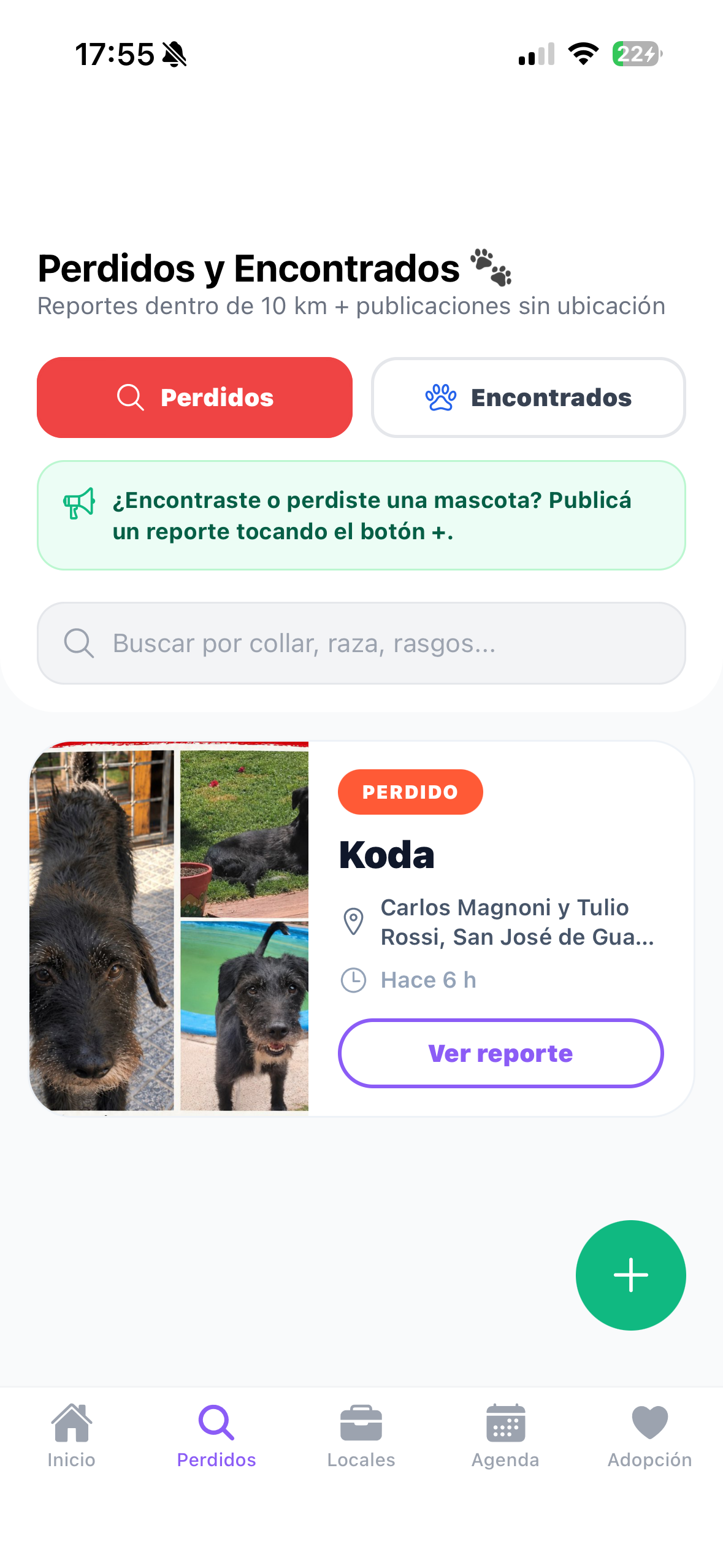 Reportes de mascotas perdidas y encontradas